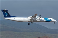 Romn Valladares-Gran Canaria Spotters. Click to see full size photo