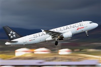 Miguel A. gueda Rguez.  (CANARY ISLANDS SPOTTING). Click to see full size photo