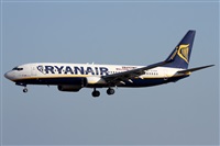 Alfonso Sols - Asociacin Canary Islands Spotting. Haz click para ampliar