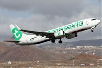 ©Alfonso Solís - Asociación Canary Islands Spotting. Click to see full size photo ©Alfonso Solís - Asociación Canary Islands Spotting. Click to see full size photo