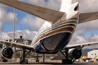 Javier de la Cruz - CANARY ISLANDS SPOTTING. Click to see full size photo
