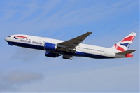 Miguel A. gueda Rguez.  (CANARY ISLANDS SPOTTING). Click to see full size photo