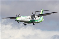 Adrin Alonso Lemes - Lanzarote Spotters. Click to see full size photo