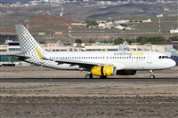 ©Alfonso Solís - Asociación Canary Islands Spotting. Click to see full size photo ©Alfonso Solís - Asociación Canary Islands Spotting. Click to see full size photo