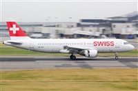 Miguel A. gueda Rguez.  (CANARY ISLANDS SPOTTING). Click to see full size photo