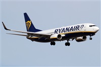 Alfonso Sols - Asociacin Canary Islands Spotting. Click to see full size photo
