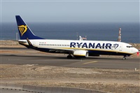 Alfonso Sols - Asociacin Canary Islands Spotting. Click to see full size photo