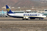 ©Alfonso Solís - Asociación Canary Islands Spotting. Click to see full size photo ©Alfonso Solís - Asociación Canary Islands Spotting. Click to see full size photo