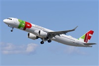 Miguel A. gueda Rguez.  (CANARY ISLANDS SPOTTING). Click to see full size photo