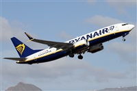 Alfonso Sols - Asociacin Canary Islands Spotting. Click to see full size photo