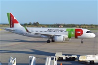 Miguel A. gueda Rguez.  (CANARY ISLANDS SPOTTING). Haz click para ampliar