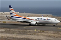 ©Alfonso Solís - Asociación Canary Islands Spotting. Click to see full size photo ©Alfonso Solís - Asociación Canary Islands Spotting. Click to see full size photo