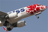 Adrin Alonso Lemes - Lanzarote Spotters. Click to see full size photo