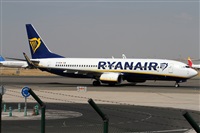 Alfonso Sols - Asociacin Canary Islands Spotting. Haz click para ampliar