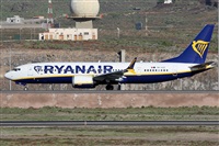 Alfonso Sols - Asociacin Canary Islands Spotting. Haz click para ampliar