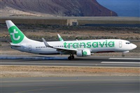 Miguel A. gueda Rguez.  (CANARY ISLANDS SPOTTING). Haz click para ampliar