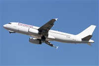 Florencio Martn Melin - Lanzarote Spotters. Click to see full size photo