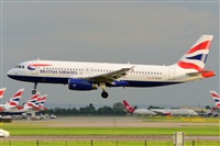Miguel A. gueda Rguez.  (CANARY ISLANDS SPOTTING). Click to see full size photo