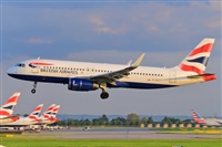 Miguel A. gueda Rguez.  (CANARY ISLANDS SPOTTING). Click to see full size photo