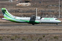 ©Alfonso Solís - Asociación Canary Islands Spotting. Click to see full size photo ©Alfonso Solís - Asociación Canary Islands Spotting. Click to see full size photo