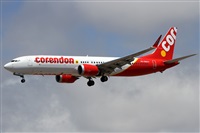 Alfonso Sols - Asociacin Canary Islands Spotting. Click to see full size photo