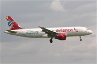 �Luis Mart�n Garcia. AIRE.org. Click to see full size photo