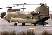 �Sergio Cambronero - Asociaci�n AIRE. Click to see full size photo