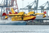 �Adolfo Bento - Gran Canaria Spotters. Click to see full size photo