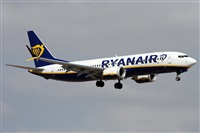 �Alfonso Sol�s - Asociaci�n Canary Islands Spotting. Click to see full size photo