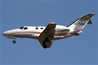 �Alfonso Sol�s - Asociaci�n Canary Islands Spotting. Click to see full size photo