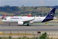 �Miguel A. �gueda Rguez.  (CANARY ISLANDS SPOTTING). Click to see full size photo