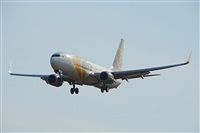 Carlos Moreira  *  PortugalSpotters.org. Click to see full size photo