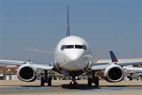 Carlos Moreira  *  PortugalSpotters.org. Click to see full size photo