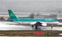Francisco Martos-Young Spotters. Click to see full size photo