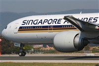 Rodrigo Carvalho - Noisy Spotters. Click to see full size photo