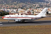 Miguel A. gueda Rguez.  (CANARY ISLANDS SPOTTING). Click to see full size photo