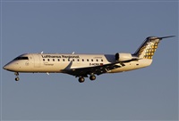 Jos Miguel Bernases - Noisy Spotters. Click to see full size photo