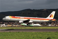J M Sabina-Asociacin Canary Islands Spotting. Click to see full size photo