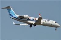 Rubn Gil - Noisy Spotters. Click to see full size photo