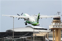 Nacho Rodriguez - Canary Islands Spotting. Click to see full size photo