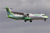 Alfonso Sols - Asociacin Canary Islands Spotting. Click to see full size photo