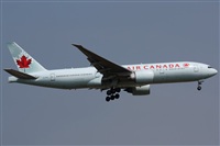 Rodrigo Carvalho - Noisy Spotters. Click to see full size photo