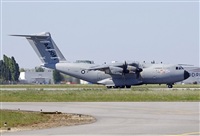 Jos Miguel Bernases - Noisy Spotters. Click to see full size photo