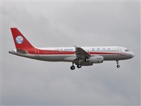 Rubn Gil - Noisy Spotters. Click to see full size photo