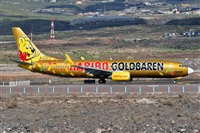 Miguel A. gueda Rguez.  (CANARY ISLANDS SPOTTING). Click to see full size photo