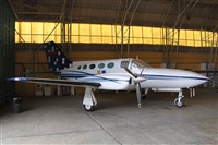 ©Alfonso Solís - Asociación Canary Islands Spotting. Click to see full size photo ©Alfonso Solís - Asociación Canary Islands Spotting. Click to see full size photo
