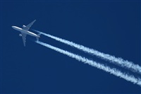 Rodrigo Carvalho - Noisy Spotters. Click to see full size photo