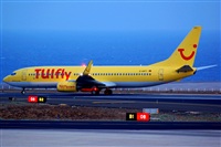 ©Luciano Fumero( freedom spotter)canary island spotting. Click to see full size photo ©Luciano Fumero( freedom spotter)canary island spotting. Click to see full size photo