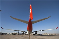 Rui Alves - Madeira Spotters. Click to see full size photo