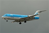 JF Alemn-GranCanariaSpotters. Click to see full size photo